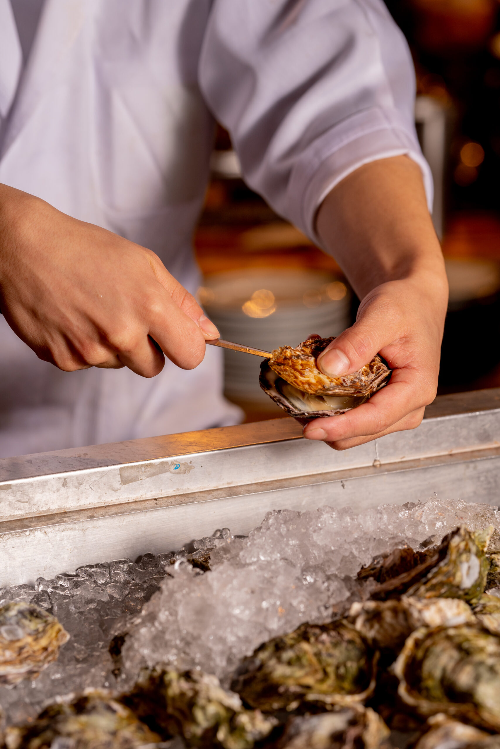 大漁酒場　魚樽本店のイメージ